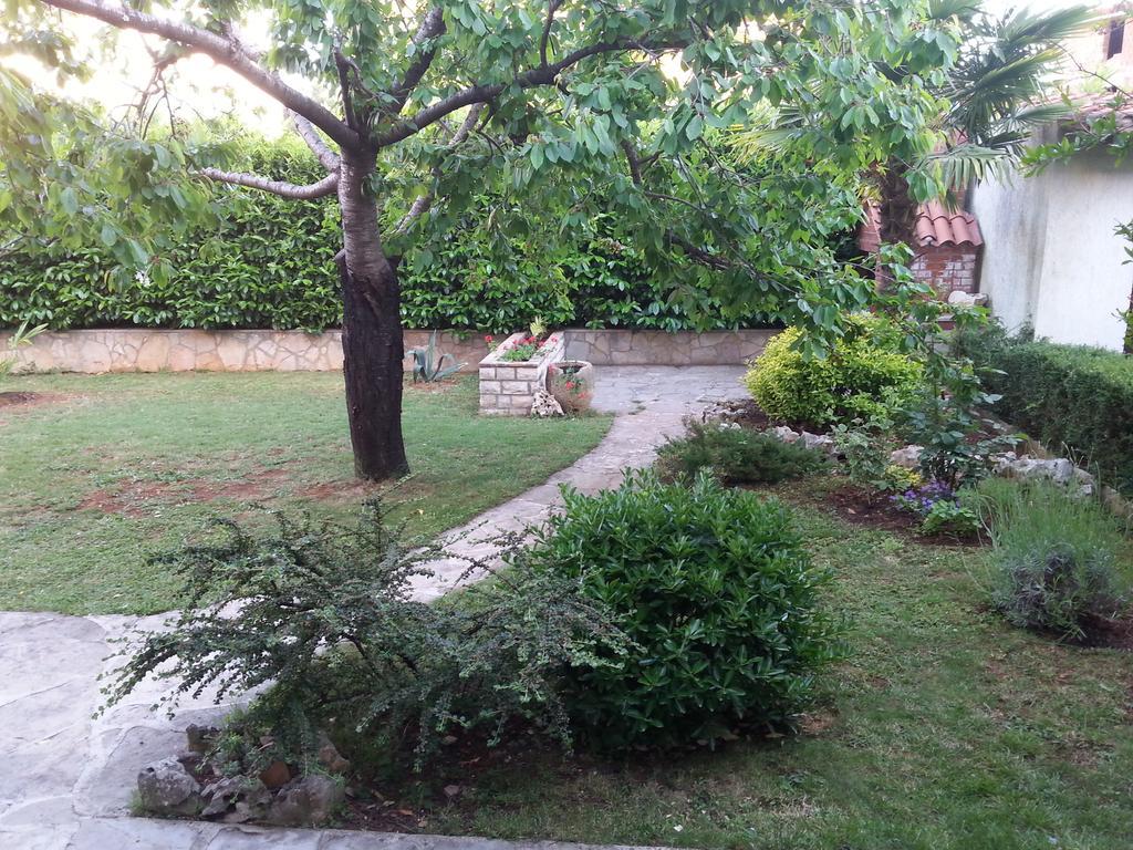 Apartment Bozac Rovinj Rum bild
